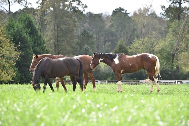 895 Crabapple Hill, Milton, GA 30004