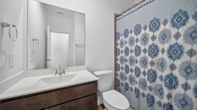 1388 Grays Gully Drive, Montgomery, TX 77316