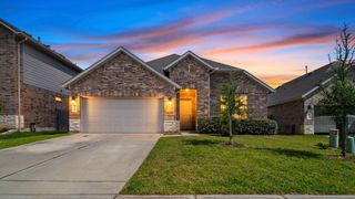 1388 Grays Gully Drive, Montgomery, TX 77316