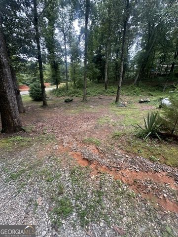 317 Forest Trail, Clarkesville, GA 30523