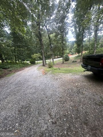 317 Forest Trail, Clarkesville, GA 30523
