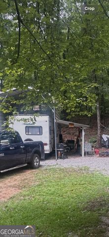 317 Forest Trail, Clarkesville, GA 30523