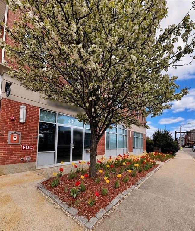 441 Washington St 203, Dedham, MA 02026