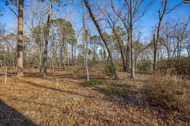 532 Burns Drive, Swansea, SC 29160