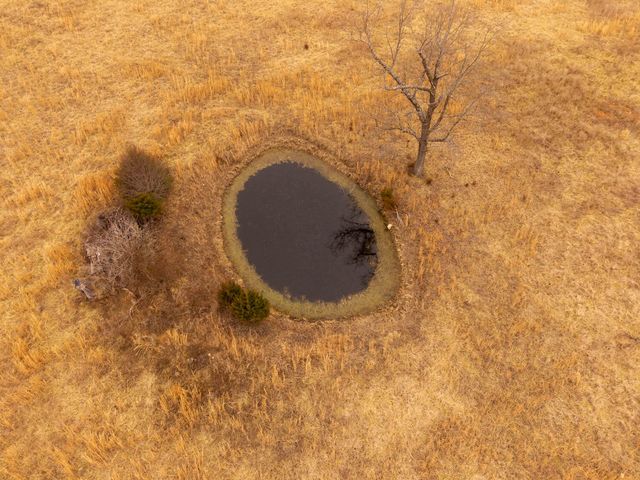 2405 County Road 2710, Mountain View, MO 65548