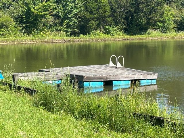 1130 Lee Road 0250, Salem, AL 36874