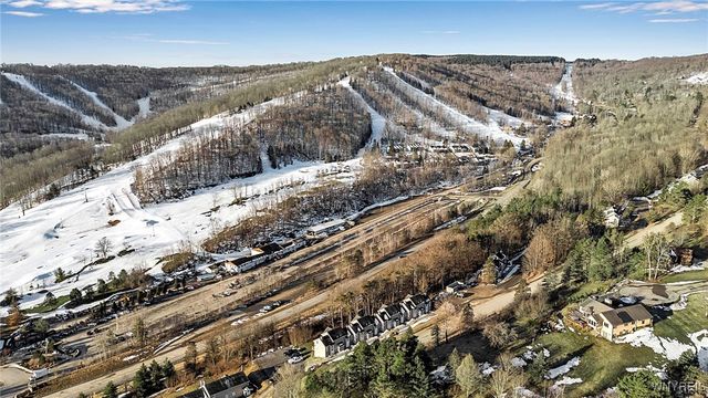 507 Deer Crossing Road 4-507, Ellicottville, NY 14731