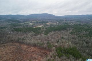 0 HIGHWAY 49, Lineville, AL 36266