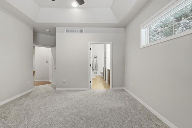 1894 STATELY CONIFER RIDGE, Rosholt, WI 54473