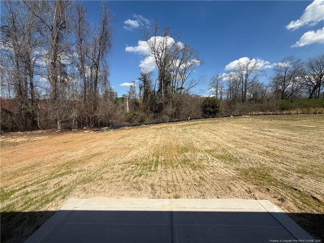 232 Dalton Drive, Lumber Bridge, NC 28357