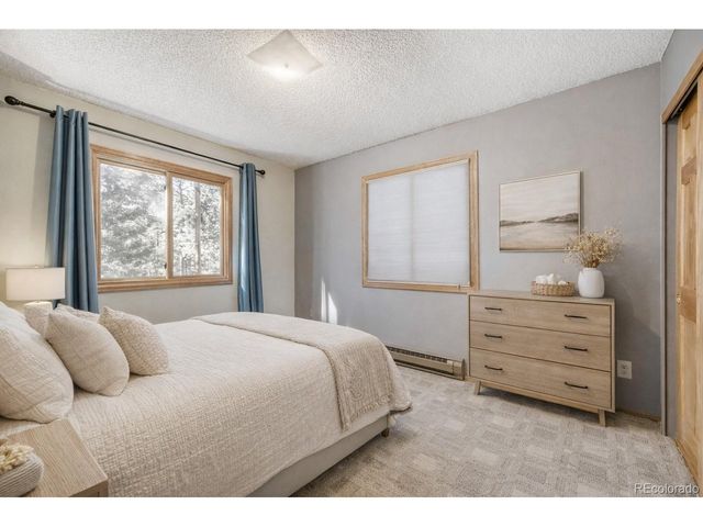 26196 Rea Ave, Conifer, CO 80433