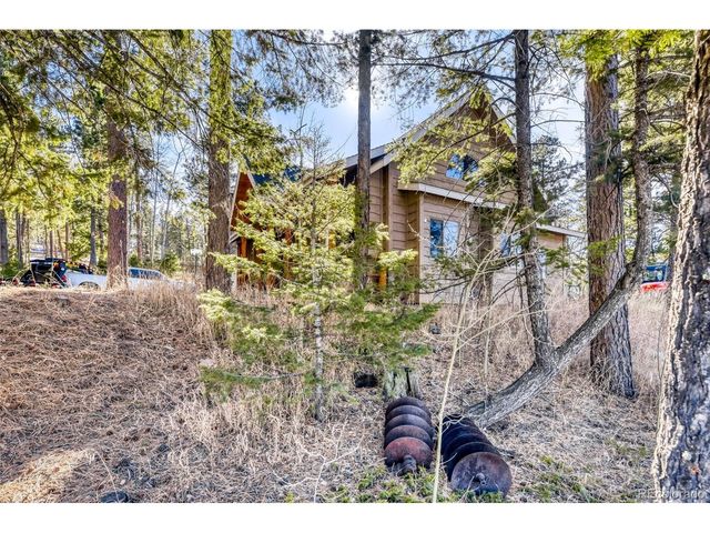 26196 Rea Ave, Conifer, CO 80433
