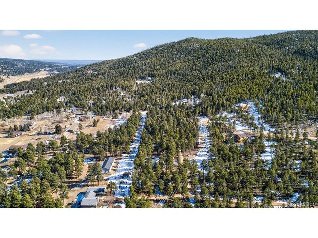 26196 Rea Ave, Conifer, CO 80433