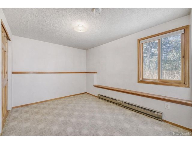 26196 Rea Ave, Conifer, CO 80433