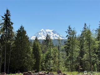 29555 150th Avenue E, Graham, WA 98338