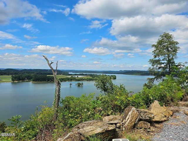 313 River Bluff Way, Newport, TN 37821