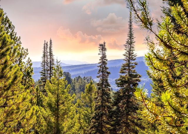 Lot 1 & 2 Wheatgrass Meadows, Big Sky, MT 59716