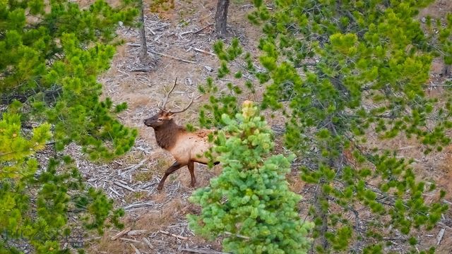 Lot 1 & 2 Wheatgrass Meadows, Big Sky, MT 59716