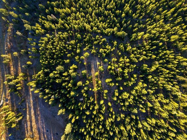 Lot 1 & 2 Wheatgrass Meadows, Big Sky, MT 59716