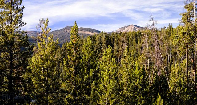 Lot 1 & 2 Wheatgrass Meadows, Big Sky, MT 59716