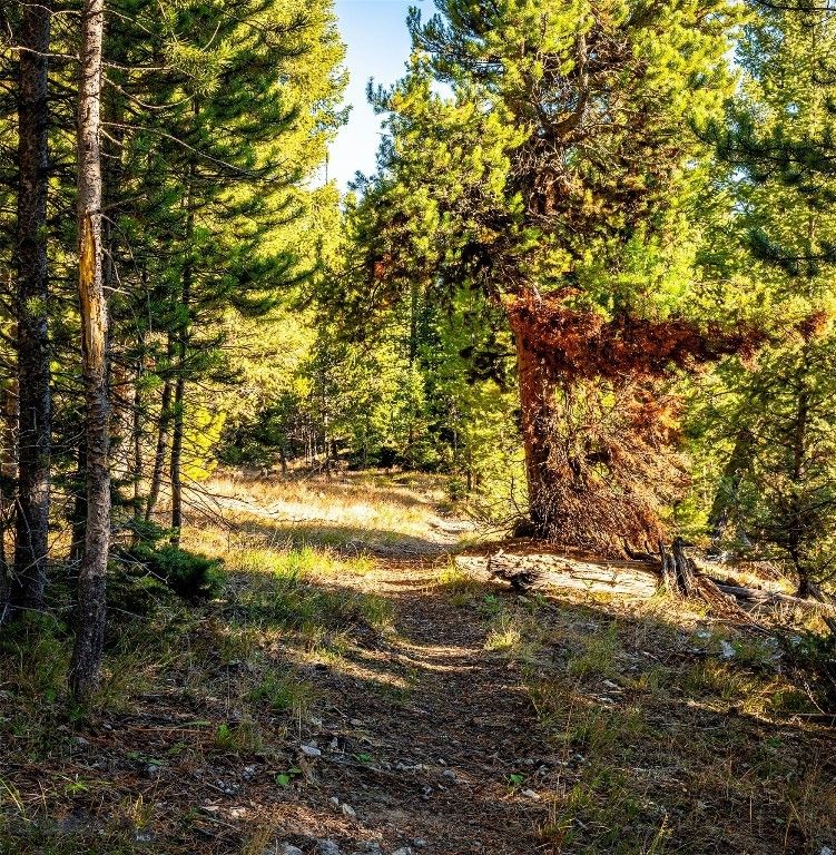 Lot 1 & 2 Wheatgrass Meadows, Big Sky, MT 59716 photo 45