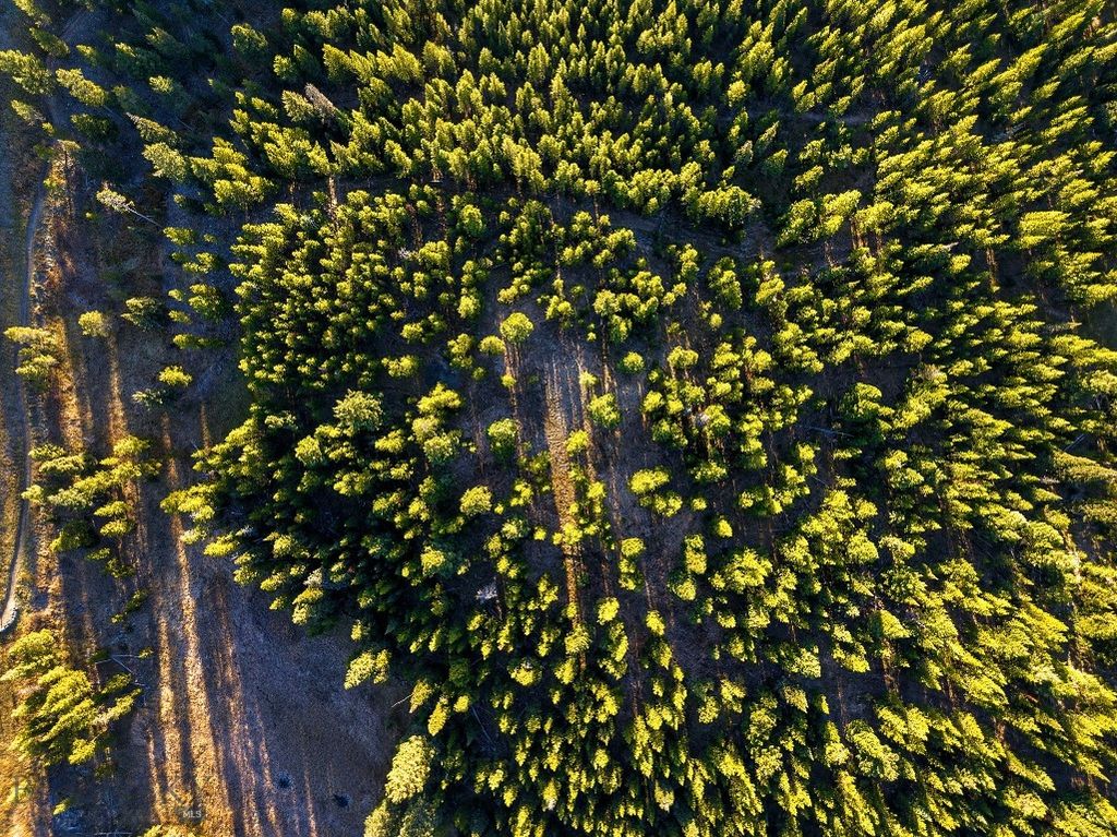 Lot 1 & 2 Wheatgrass Meadows, Big Sky, MT 59716 photo 53