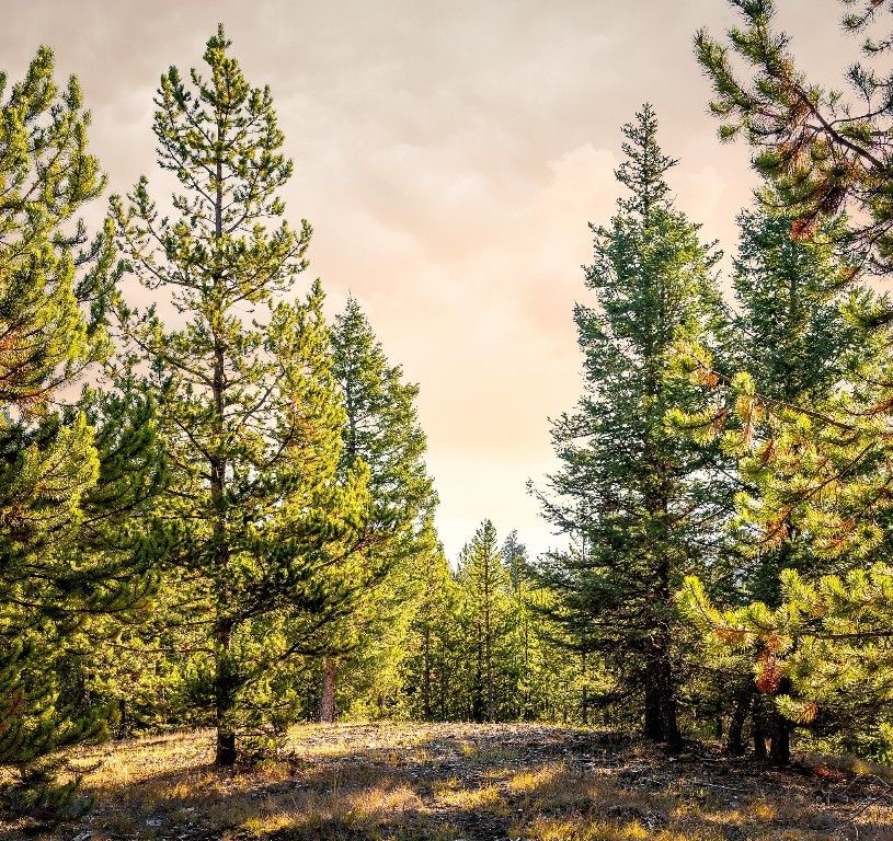 Lot 1 & 2 Wheatgrass Meadows, Big Sky, MT 59716 photo 55