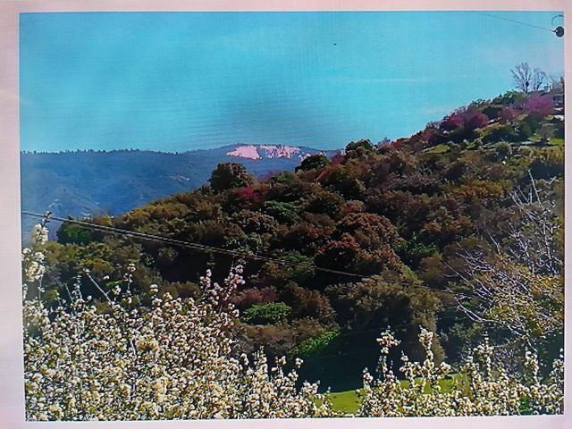 50740 Bramble Lane, Yokuts Valley, CA 93675