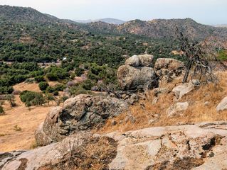 50740 Bramble Lane, Yokuts Valley, CA 93675