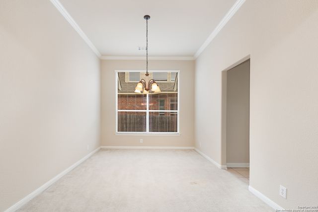 24118 Alpine Lodge, San Antonio, TX 78258