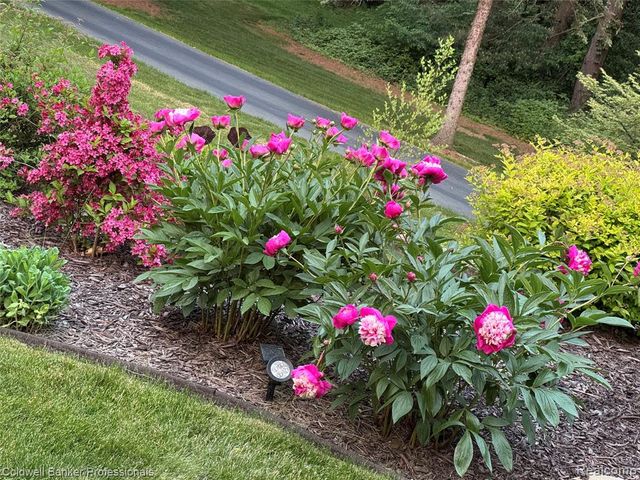 3940 Dexter Ann Arbor Road, Ann Arbor, MI 48103