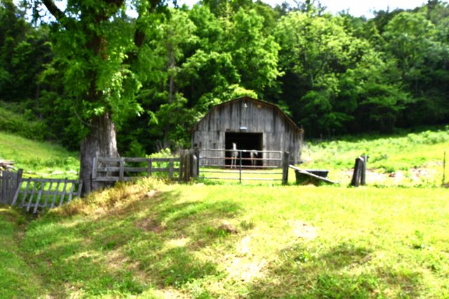 9073 Sherwood Rd, Sherwood, TN 37376
