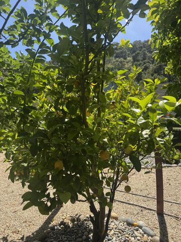 3960 Ballantree Lane, Aromas, CA 95004