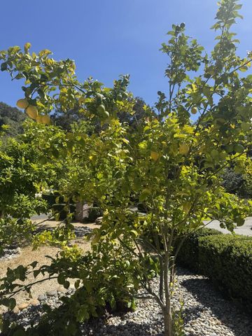 3960 Ballantree Lane, Aromas, CA 95004