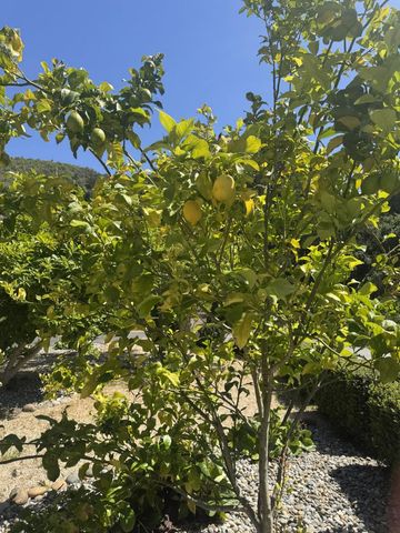 3960 Ballantree Lane, Aromas, CA 95004