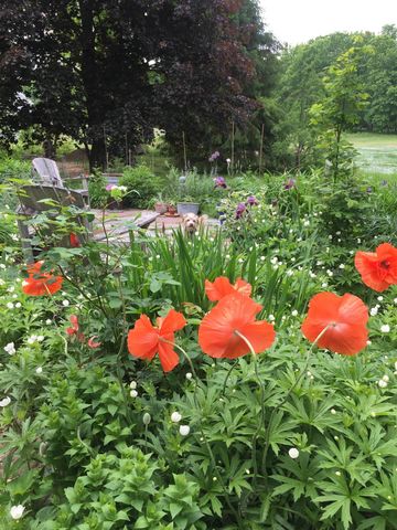 3 Moulton Ridge Road, Kensington, NH 03833