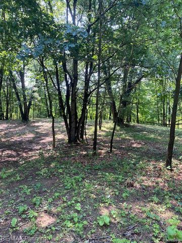 6 Sleaford-Parcel 6 - 2.1 Acres Road, Howell, MI 48843