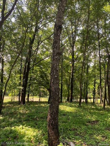 6 Sleaford-Parcel 6 - 2.1 Acres Road, Howell, MI 48843