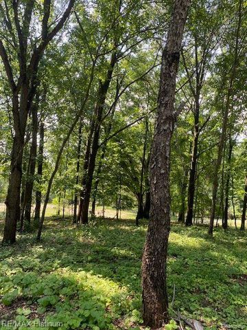 6 Sleaford-Parcel 6 - 2.1 Acres Road, Howell, MI 48843