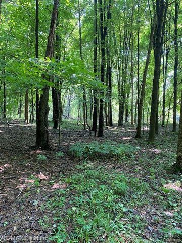 6 Sleaford-Parcel 6 - 2.1 Acres Road, Howell, MI 48843