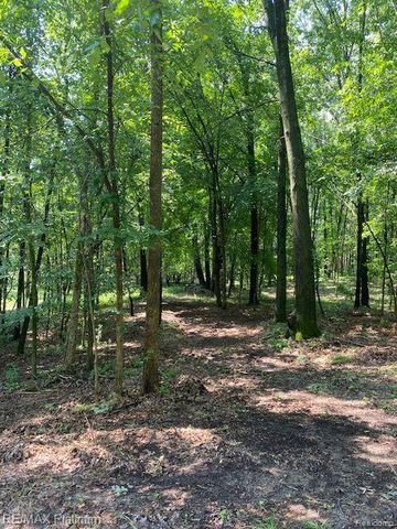 6 Sleaford-Parcel 6 - 2.1 Acres Road, Howell, MI 48843