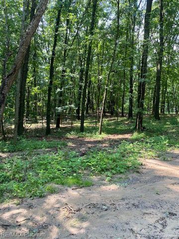 6 Sleaford-Parcel 6 - 2.1 Acres Road, Howell, MI 48843
