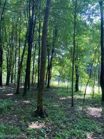 6 Sleaford-Parcel 6 - 2.1 Acres Road, Howell, MI 48843