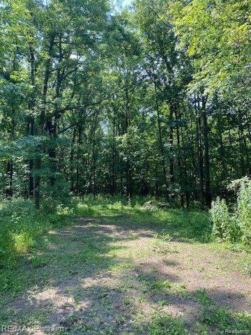 6 Sleaford-Parcel 6 - 2.1 Acres Road, Howell, MI 48843