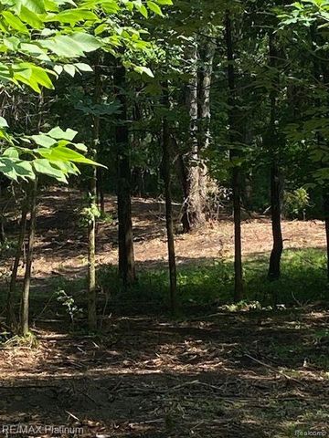 6 Sleaford-Parcel 6 - 2.1 Acres Road, Howell, MI 48843