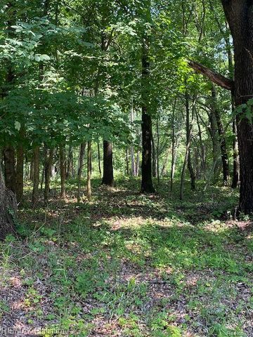 6 Sleaford-Parcel 6 - 2.1 Acres Road, Howell, MI 48843