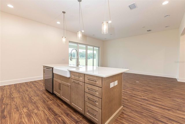 1439 CR 212, Oxford, FL 34484
