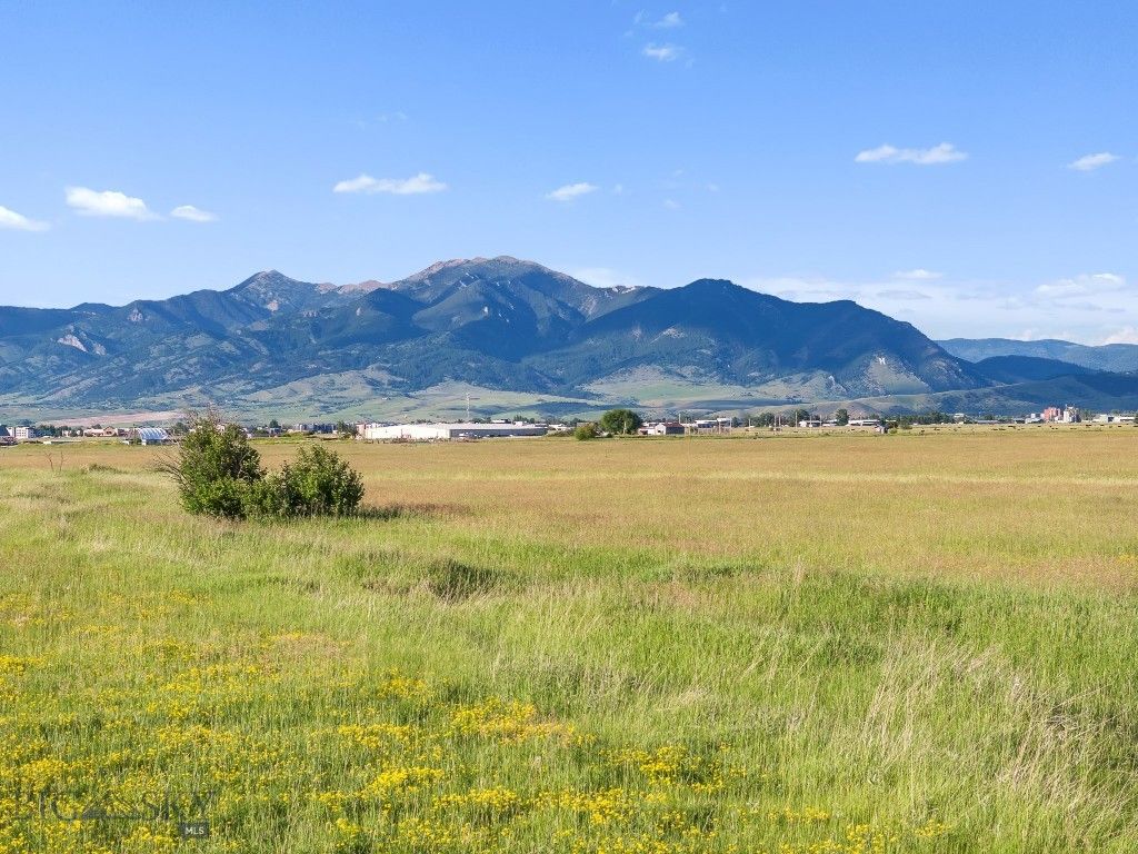 TBD S. Cottonwood Road, Bozeman, MT 59718 photo 17