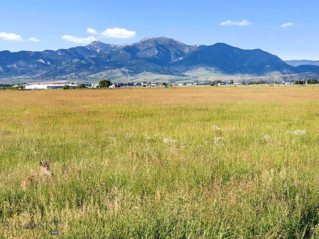 TBD S. Cottonwood Road, Bozeman, MT 59718 photo 18