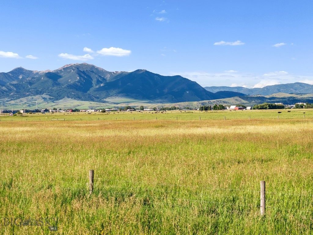 TBD S. Cottonwood Road, Bozeman, MT 59718 photo 19